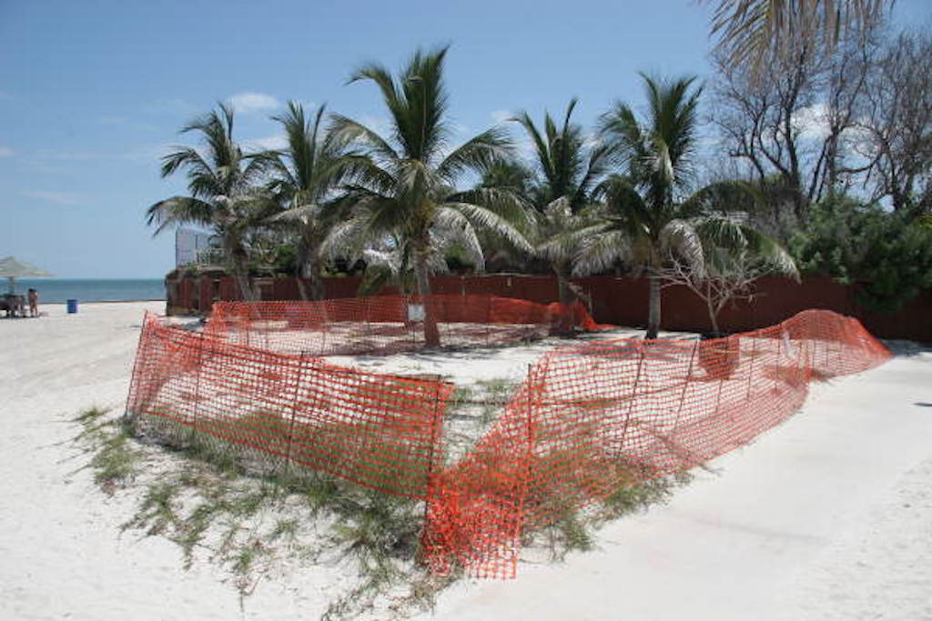 african cemetery refugee burial ground near higgs beach, key west, florida